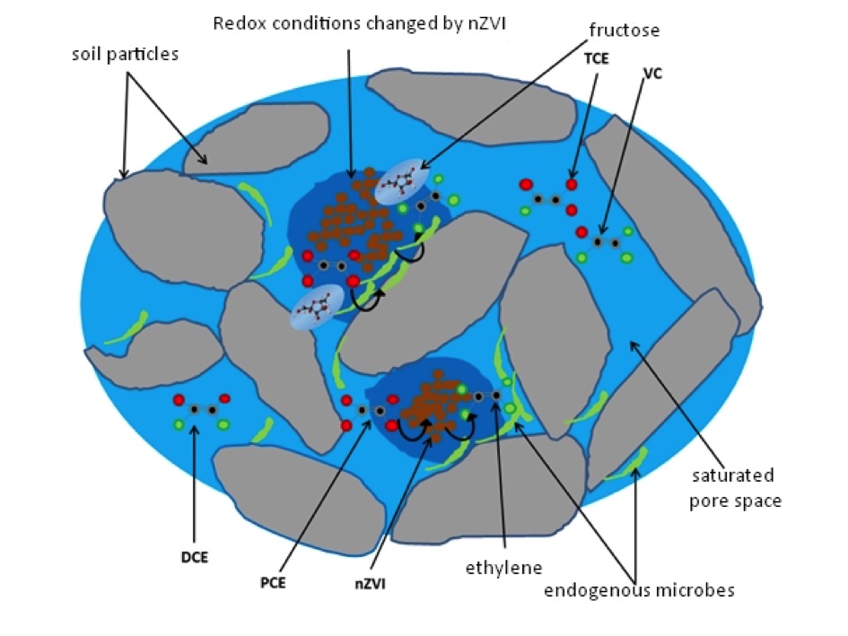 chemical-reductive-and-anaerobic-dechlorination-processes-in-the-pore